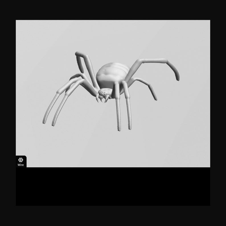 Realistic Spider with Thick Legs STL Digital File for 3D Printing image 6