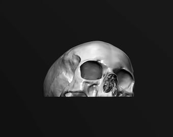 Skull with Flat Base 2 STL Digital File for 3D Printing