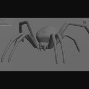 Realistic Spider with Thick Legs STL Digital File for 3D Printing image 2