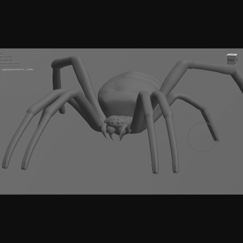 Realistic Spider with Thick Legs STL Digital File for 3D Printing image 2