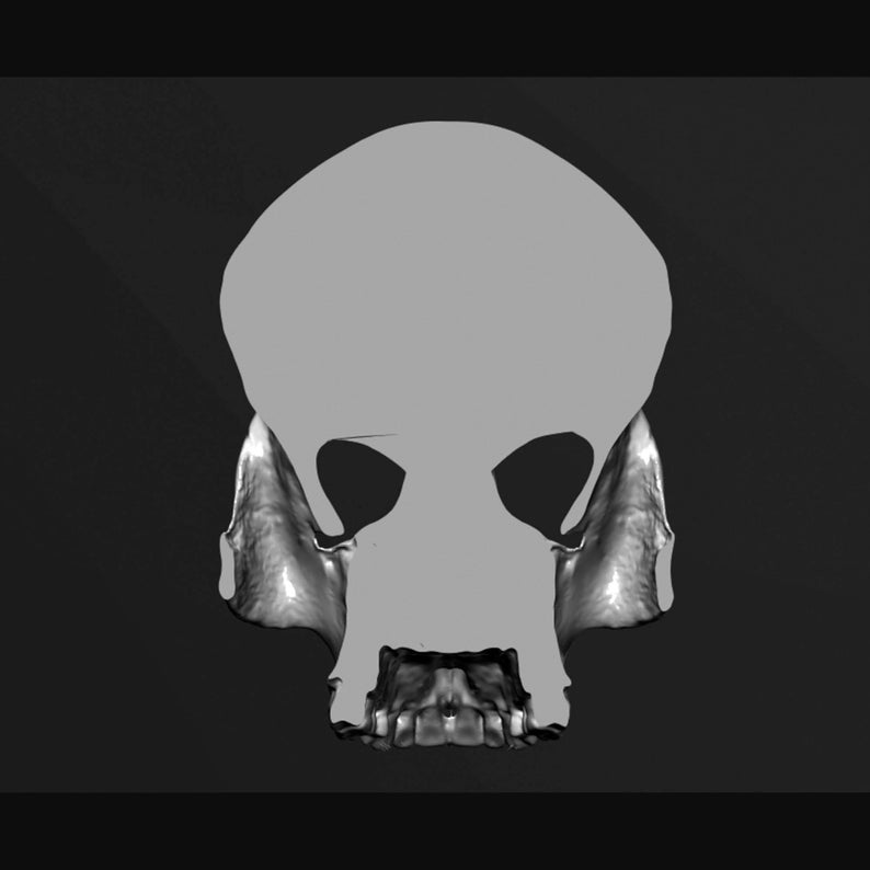 Skull Flat Back STL Digital File for 3D Printing image 3