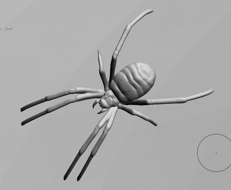 Realistic Spider with Thick Legs STL Digital File for 3D Printing image 5