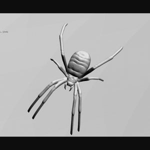 Realistic Spider with Thick Legs STL Digital File for 3D Printing