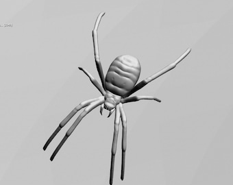 Realistic Spider with Thick Legs STL Digital File for 3D Printing