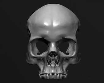 Skull Flat Back STL Digital File for 3D Printing
