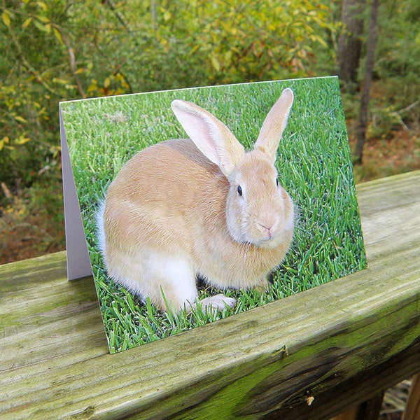 Cute Orange Rabbit Greeting Card - Tan Bunny Easter Card All Occasion Blank Card