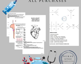 Könnte beinhalten: Ein druckbarer PDF-Download einer grundlegenden Herz-Anatomie- und EKG-Rezension mit einem kostenlosen Geschenk für alle Einkäufe. Das Bild zeigt ein Diagramm des Herzens, ein EKG-Tracing und eine Liste von Labortests mit ihrer Reihenfolge.