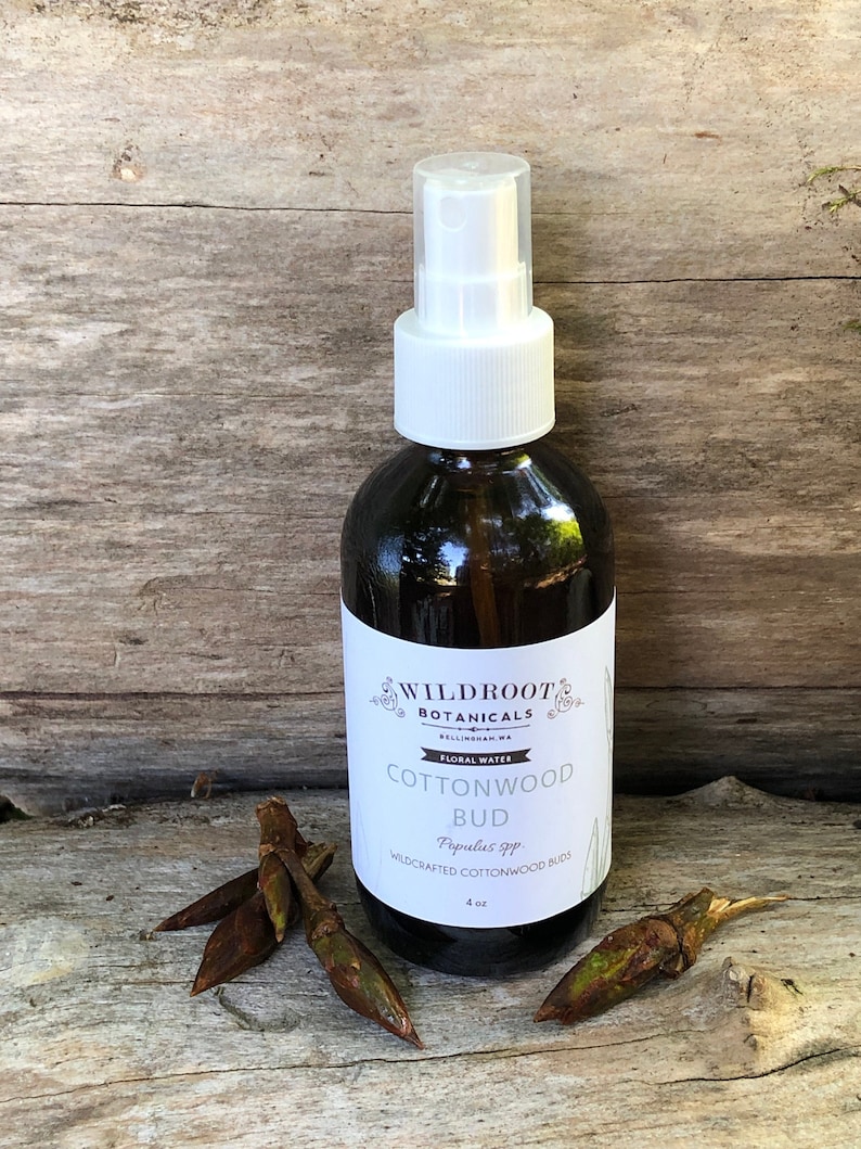 May include: A 4-ounce bottle of Cottonwood Bud floral water by Wildroot Botanicals. The bottle is clear glass with a white spray top and a white label with black text. The label reads "Wildroot Botanicals, Bellingham, WA, Floral Water, Cottonwood Bud, Populus spp., Wildcrafted Cottonwood Buds, 4 oz."