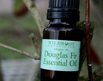 Douglas Fir Essential Oil Wilddcrafted in the Pacific Northwest....Pseudotsuga menziesii