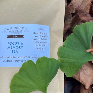 Focus and Memory Tea