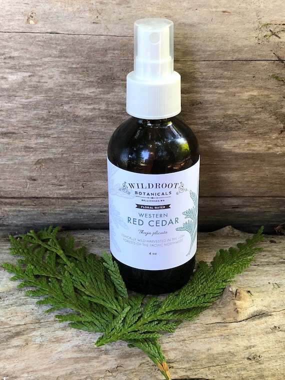 Hydrolat de cdre - Etsy Canada