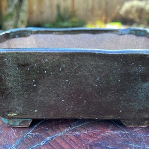May include: A dark green ceramic bonsai pot with a rectangular shape and a slightly textured surface. The pot has a turquoise rim and small feet. The interior is a lighter brown color. This container is suitable for small plants.