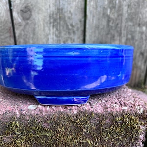 May include: A vibrant, cobalt blue ceramic bowl with a low profile and a slightly raised base. The bowl's glossy surface reflects light, highlighting its smooth texture. The bowl is set on a moss-covered brick, with a wooden background.