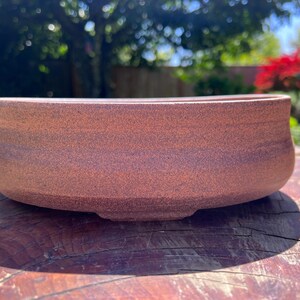 May include: A low, wide, reddish-brown ceramic planter with a textured surface. The planter has a rounded shape and sits on a wooden surface. The background features blurred green foliage and sunlight.