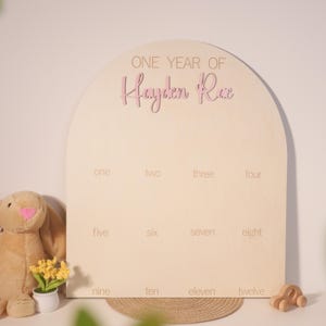 One Year of Wooden Photo Board,Milestone Board,1st Birthday Board,First Birthday Decorations,Photo Collage,12 Months Photo Banner, Year Sign