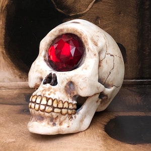May include: A white ceramic skull with a large, red gemstone eye.