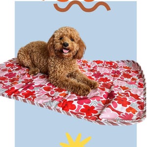 Cafe Dog Mat - Dog Mat - Travel Mat - Size LARGE 70cm 120cm