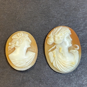 Genuine Antique Carved Shell Cameos unmounted