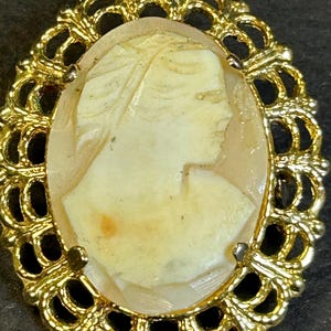 Vintage carved shell portrait cameo