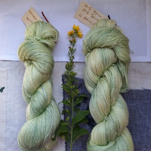 Grüner Lebensreben, Merino Tencel Lace imagem 2