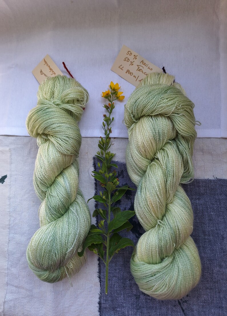 Grüner Lebensreben, Merino Tencel Lace imagem 2