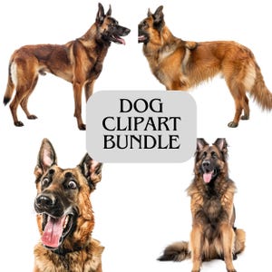 K&ouml;nnte beinhalten: Ein Hunde-Clipart-Bundle mit vier verschiedenen Hunderassen in verschiedenen Posen. Die Hunde sind braun, schwarz und hellbraun, wobei einer der Hunde zu l&auml;cheln scheint. Der Text "DOG CLIPART BUNDLE" wird auf grauem Hintergrund angezeigt.