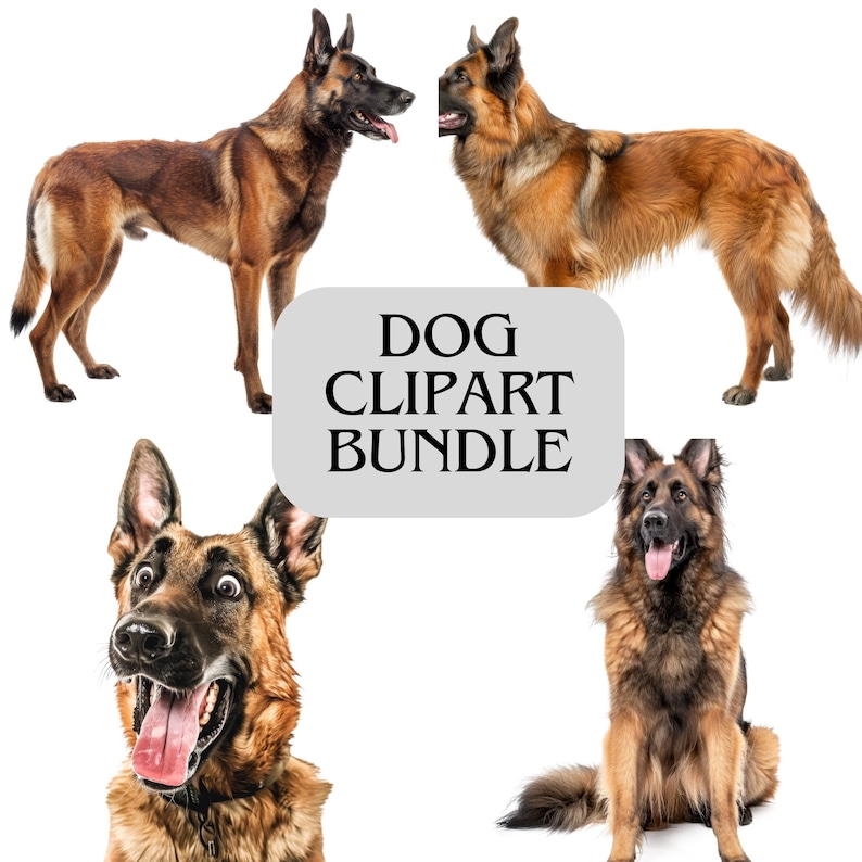 K&ouml;nnte beinhalten: Ein Hunde-Clipart-Bundle mit vier verschiedenen Hunderassen in verschiedenen Posen. Die Hunde sind braun, schwarz und hellbraun, wobei einer der Hunde zu l&auml;cheln scheint. Der Text "DOG CLIPART BUNDLE" wird auf grauem Hintergrund angezeigt.
