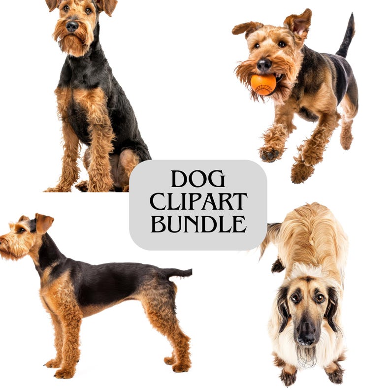 K&ouml;nnte beinhalten: Vier Hundeillustrationen in verschiedenen Posen. Die Hunde haben braunes und schwarzes Fell. Der Text "DOG CLIPART BUNDLE" befindet sich in einem grauen Rechteck.