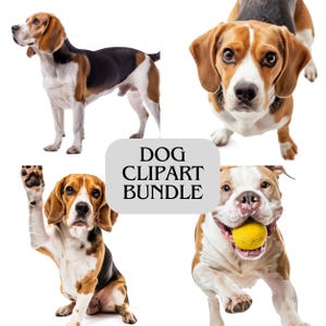 K&ouml;nnte beinhalten: Ein digitales Clipart-Bundle mit vier verschiedenen Hunden. Die Hunde umfassen einen stehenden Beagle, einen Beagle, der in die Kamera schaut, einen Beagle, der seine Pfote hebt, und einen Hund mit einem gelben Ball im Maul. Der Text "DOG CLIPART BUNDLE" befindet sich in der Mitte.