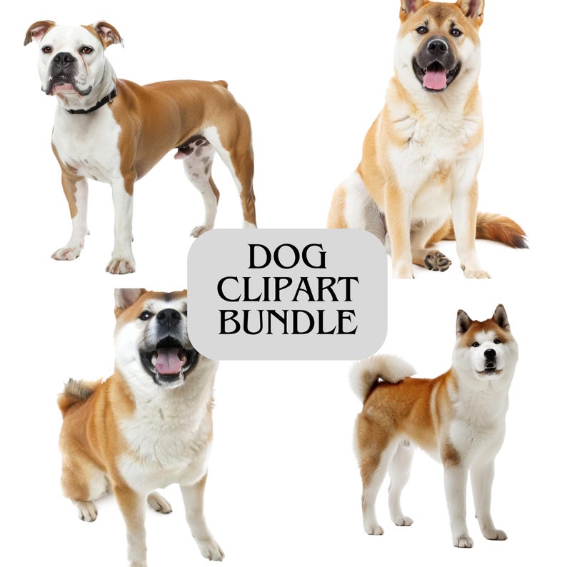 K&ouml;nnte beinhalten: Ein Hunde-Clipart-Bundle mit vier verschiedenen Hunderassen. Die Hunde sind in verschiedenen Posen, darunter Stehen und Sitzen. Die Hunde haben braunes, wei&szlig;es und hellbraunes Fell. Der Text "DOG CLIPART BUNDLE" befindet sich in einem grauen, abgerundeten Rechteck.