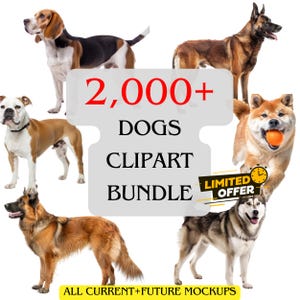 K&ouml;nnte beinhalten: Eine Zusammenstellung verschiedener Hunderassen, darunter Beagle, Deutscher Sch&auml;ferhund und Husky, vor wei&szlig;em Hintergrund. Das Bild zeigt den Text "2.000+ DOGS CLIPART BUNDLE" mit einem "LIMITED OFFER"-Badge und "ALL CURRENT+FUTURE MOCKUPS".