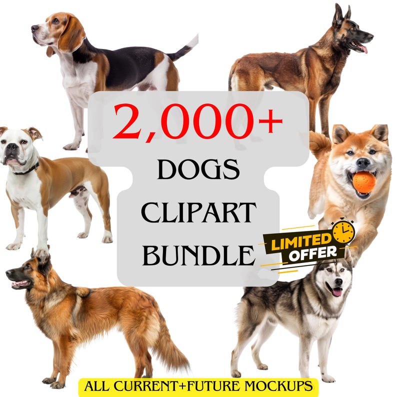 K&ouml;nnte beinhalten: Eine Zusammenstellung verschiedener Hunderassen, darunter Beagle, Deutscher Sch&auml;ferhund und Husky, vor wei&szlig;em Hintergrund. Das Bild zeigt den Text "2.000+ DOGS CLIPART BUNDLE" mit einem "LIMITED OFFER"-Badge und "ALL CURRENT+FUTURE MOCKUPS".