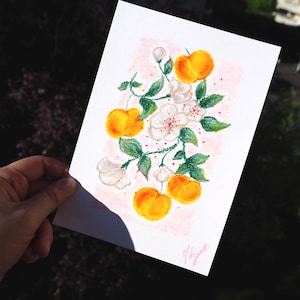 Ilustración de fruta dibujada a mano: ciruela mirabel de Lorena