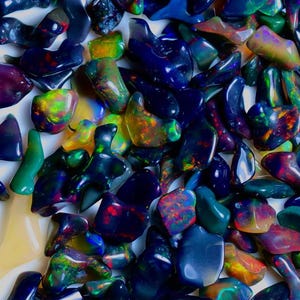 May include: A collection of loose, iridescent black opals with flashes of green, red, and yellow. The opals are various shapes and sizes.