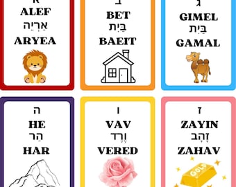 現代ヘブライ語単語カード　見出し語1000 現代ヘブライ語単語カード 見出し語1000