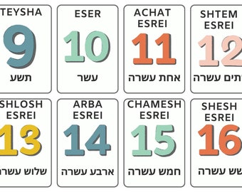 現代ヘブライ語単語カード　見出し語1000 聖書ヘブライ語-日本語辞典 聖書アラム語語彙付 | 谷川政美, 古代語