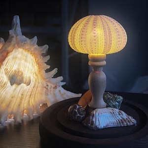 Pode incluir: Um abajur de mesa feito de uma casca de ouriço-do-mar seca com uma base de madeira. A lâmpada está acesa e projeta um brilho quente. A base é decorada com conchas.