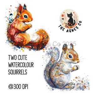 Squirrel png, cottagecore png, Clipart, squirrel Sublimation, Digital Download, Autumn critters, Autumn Aesthetic, woodland creature png