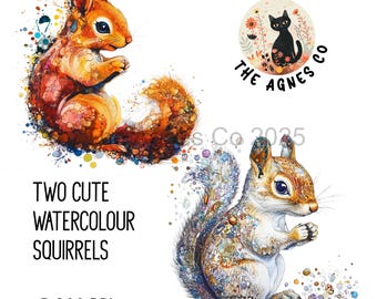 Squirrel png, cottagecore png, Clipart, squirrel Sublimation, Digital Download, Autumn critters, Autumn Aesthetic, woodland creature png