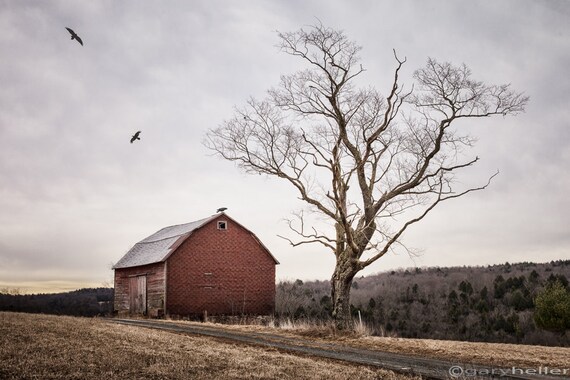 Tree /& Barn 5x5 Original Fine Art Landscape Photographic Print 7
