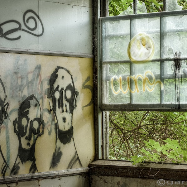 Old Window, Lost Souls - Abandoned Asylum Wall Art, Green Room - Fine Art Photography, Urban Exploration, Signed Print.