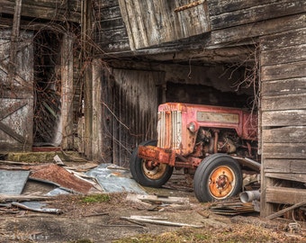 May include: A red vintage tractor is parked inside a weathered wooden barn. The tractor is partially obscured by the barn's wooden walls and a tangle of vines.