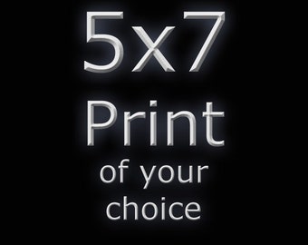 5x7 or 5x5&quot; print of your choice. Any print in my etsy shop can be had as a 5x7 or 5x5&quot; print signed and dated.