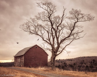 Autumn Barn and Tree, Old barn landscape, Surreal Farm and Barn scene, Art Photography Print