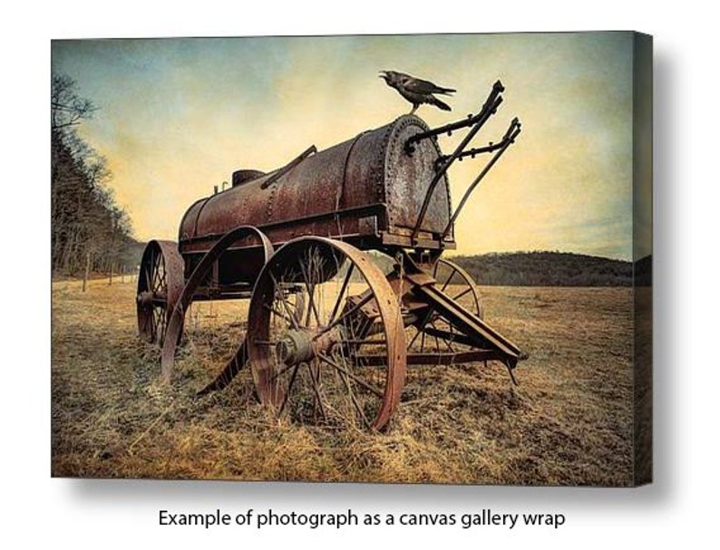 On the Water Wagon, Agricultural Relic, Antique Machinery, Horse Drawn