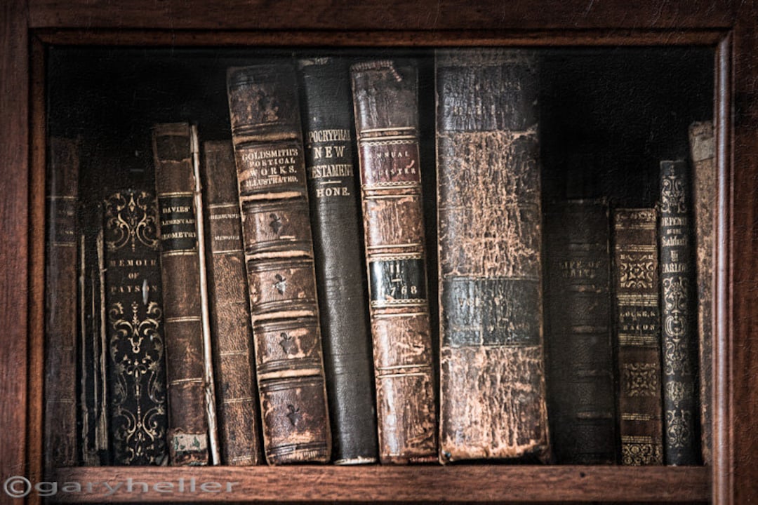 Old Books on a Shelf in a 19th Century Library, Poetry and Literature,  Moody Light, Old World, Signed Print 