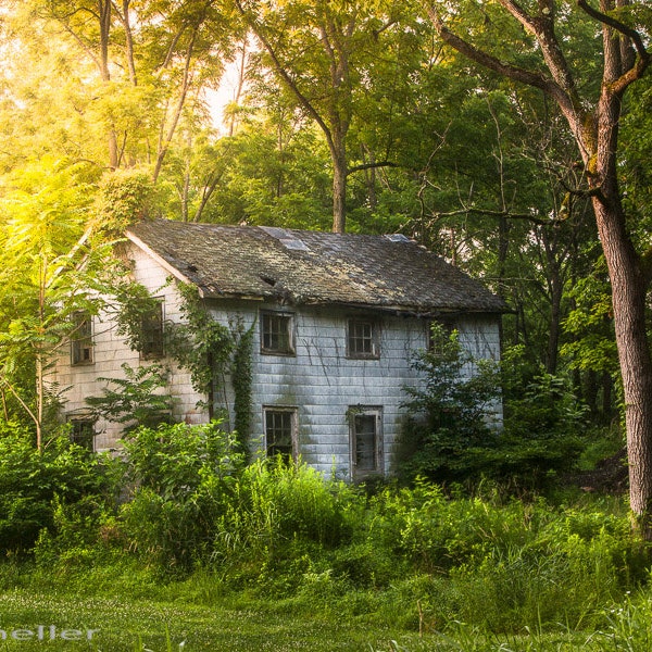 Verblassende Erinnerung an einen Sommermorgen, altes Haus im Wald, Natur, verlassen, ländlich, rustikal, Wand-Dekor, Cottage Chic, Fine Art Print, signiert