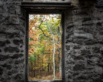 Autumn within Cunningham Tower, Looking out of the ruins, Autumn color, Gothic Architecture, Free Shipping