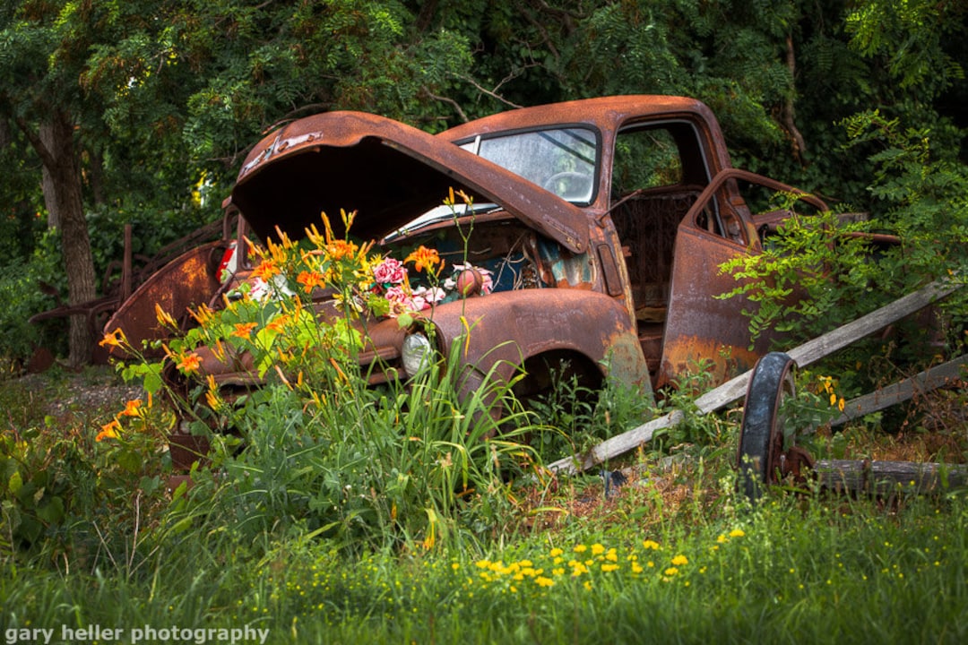 Rusty Truck Flower Bed, Photograph of a Charming Country Scene