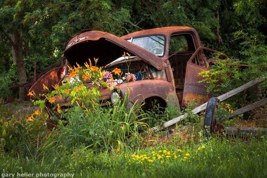 Rusty Truck Flower Bed, Photograph of a Charming Country Scene